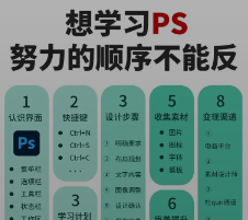 新手必看！PS学习顺序大揭秘